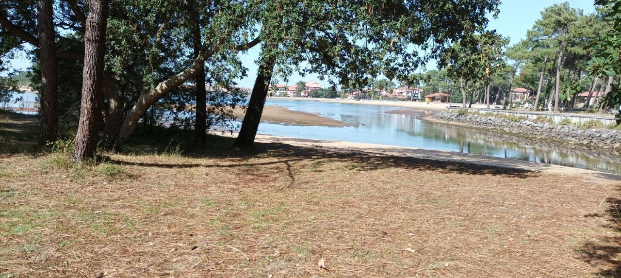 Chalet Le Ticaco Soustons Plage Avec Wifi Satellite Exterior photo